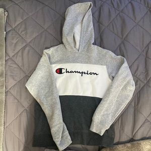 Champion sweater